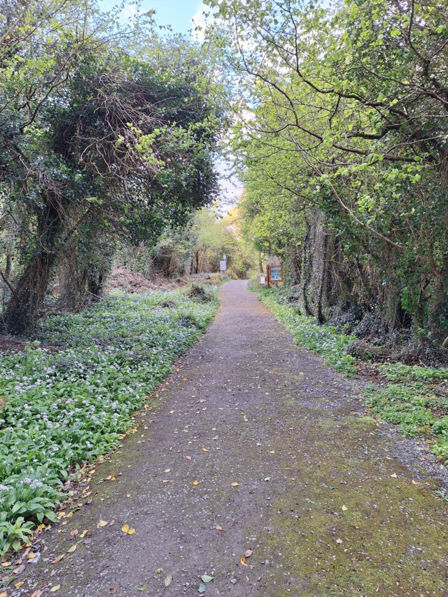 Ard Aoibhinn Roscommon Lecarrow Экстерьер фото